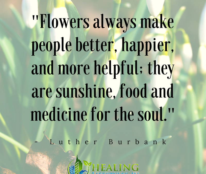 “[Flowers] are sunshine, food and medicine for the soul.”
