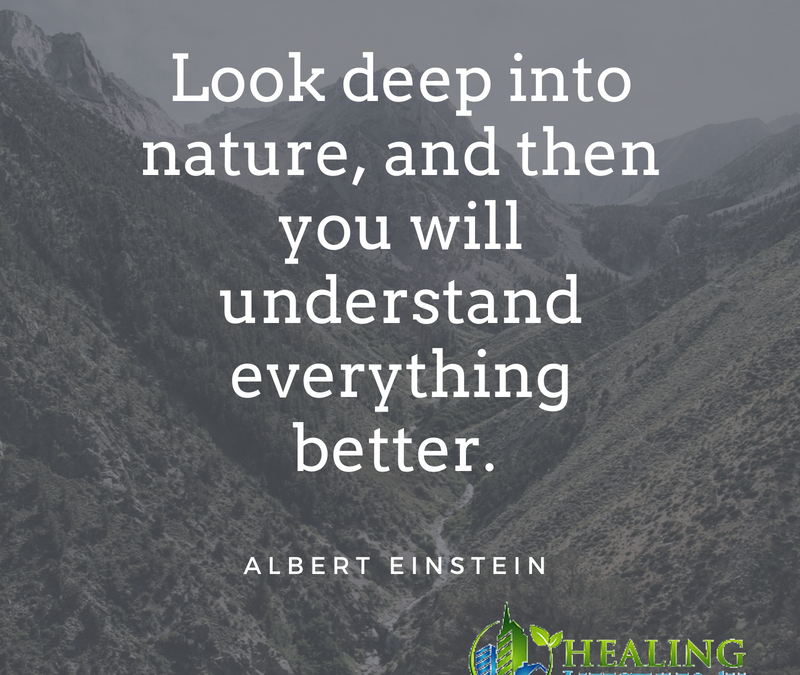 Look deep into nature, and then you will understand everything better.