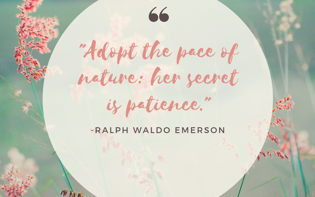 Adopt the pace of nature: her secret is patience