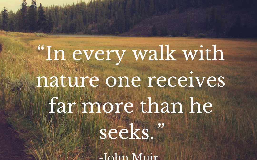 In every walk with nature one receives far more than he seeks