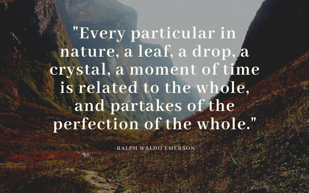 Every particular in nature, a leaf, a drop, a crystal, a moment of time is related to the whole, and partakes of the perfection of the whole