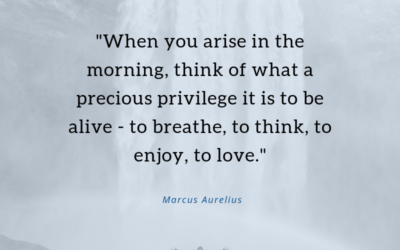 When you arise in the morning, think of what a precious privilege it is to be alive