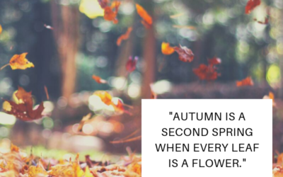 Autumn is a second spring when every leaf is a flower