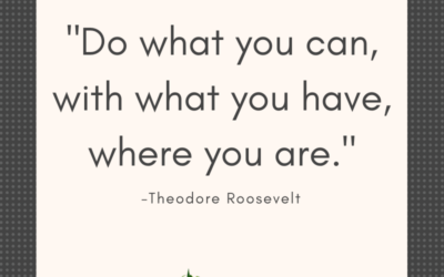 Do what you can, with what you have, where you are