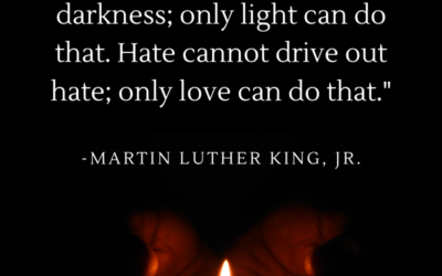 Darkness cannot drive out darkness; only light can do that. Hate cannot drive out hate; only love can do that.